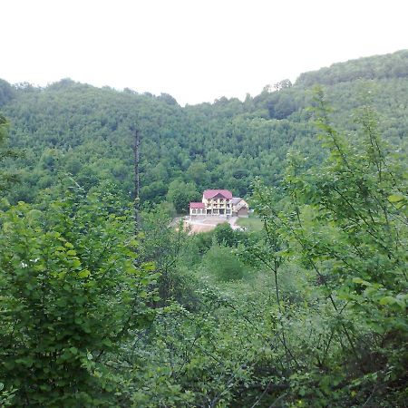 Pensiunea Dolvas Padis Dış mekan fotoğraf