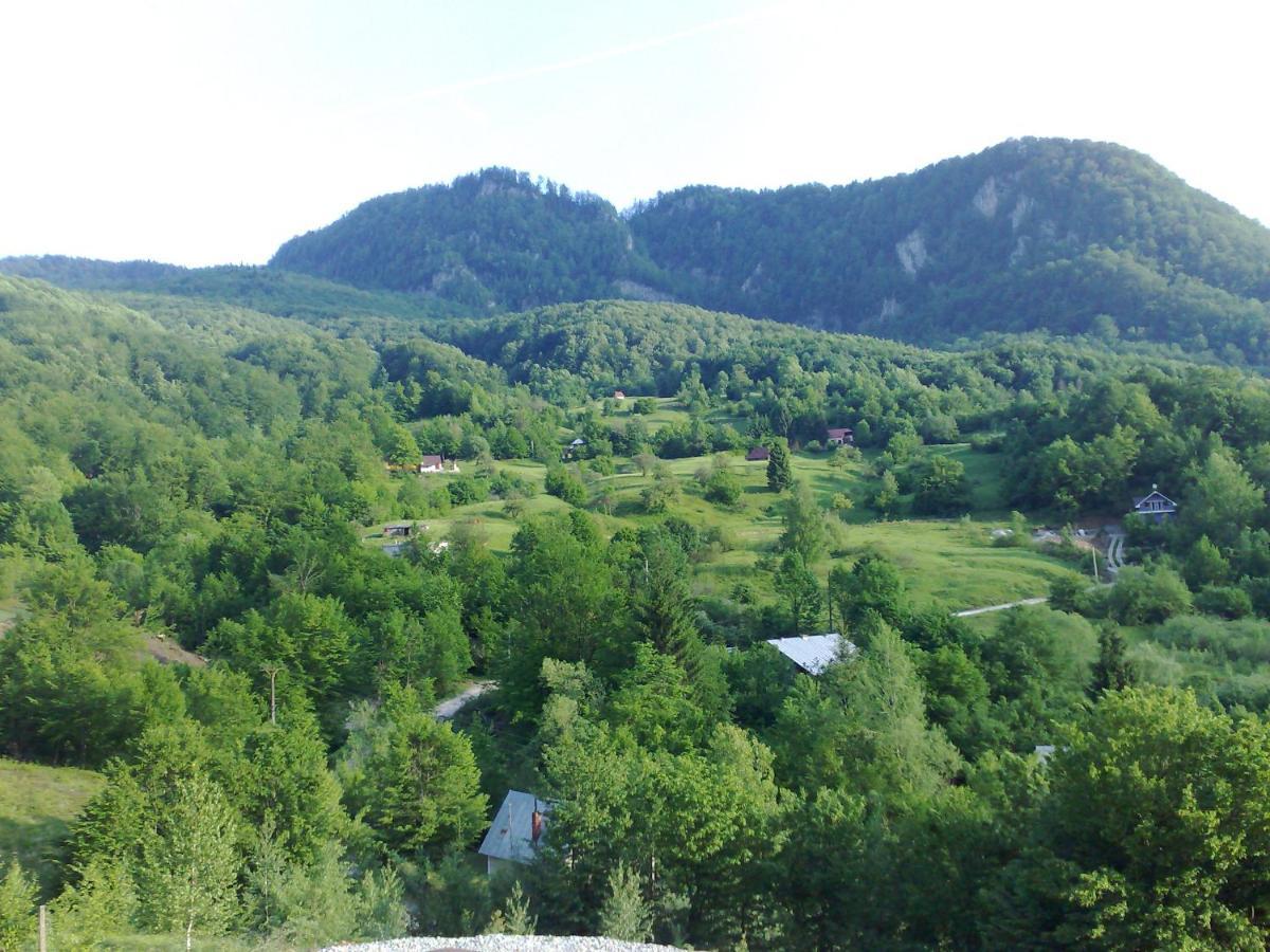Pensiunea Dolvas Padis Dış mekan fotoğraf