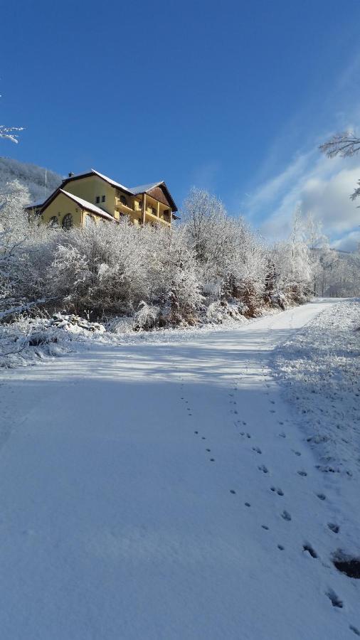 Pensiunea Dolvas Padis Dış mekan fotoğraf