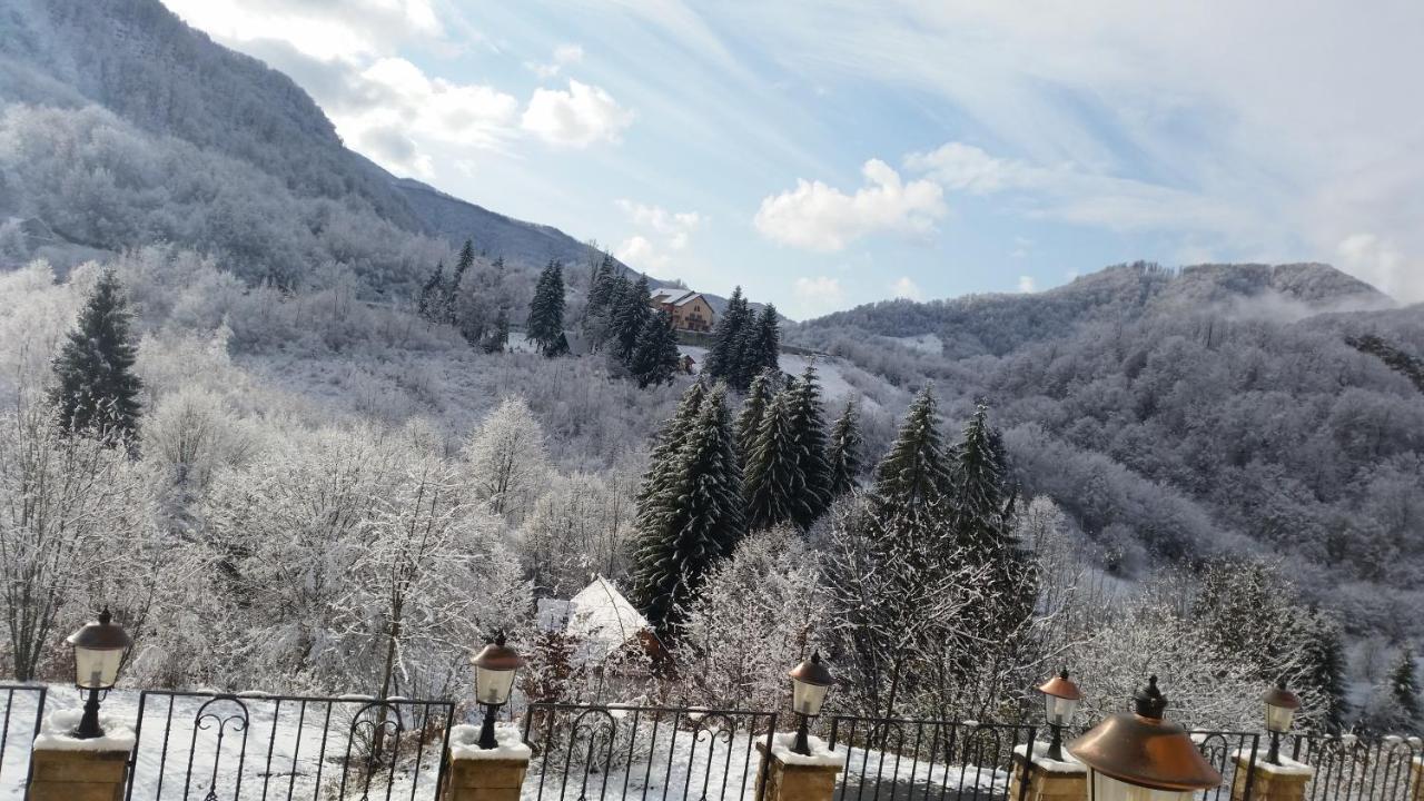 Pensiunea Dolvas Padis Dış mekan fotoğraf