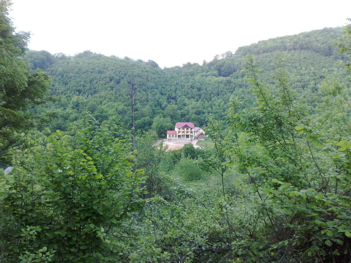 Pensiunea Dolvas Padis Dış mekan fotoğraf