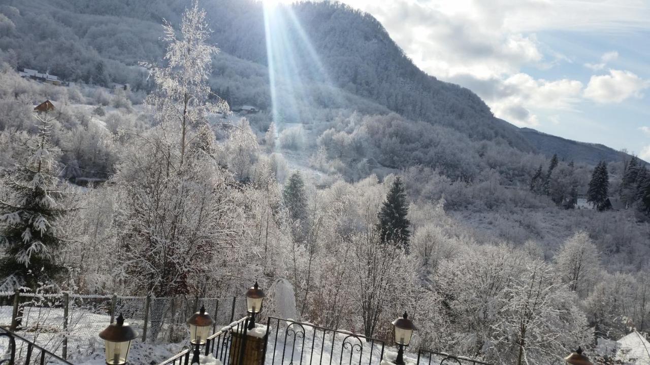 Pensiunea Dolvas Padis Dış mekan fotoğraf