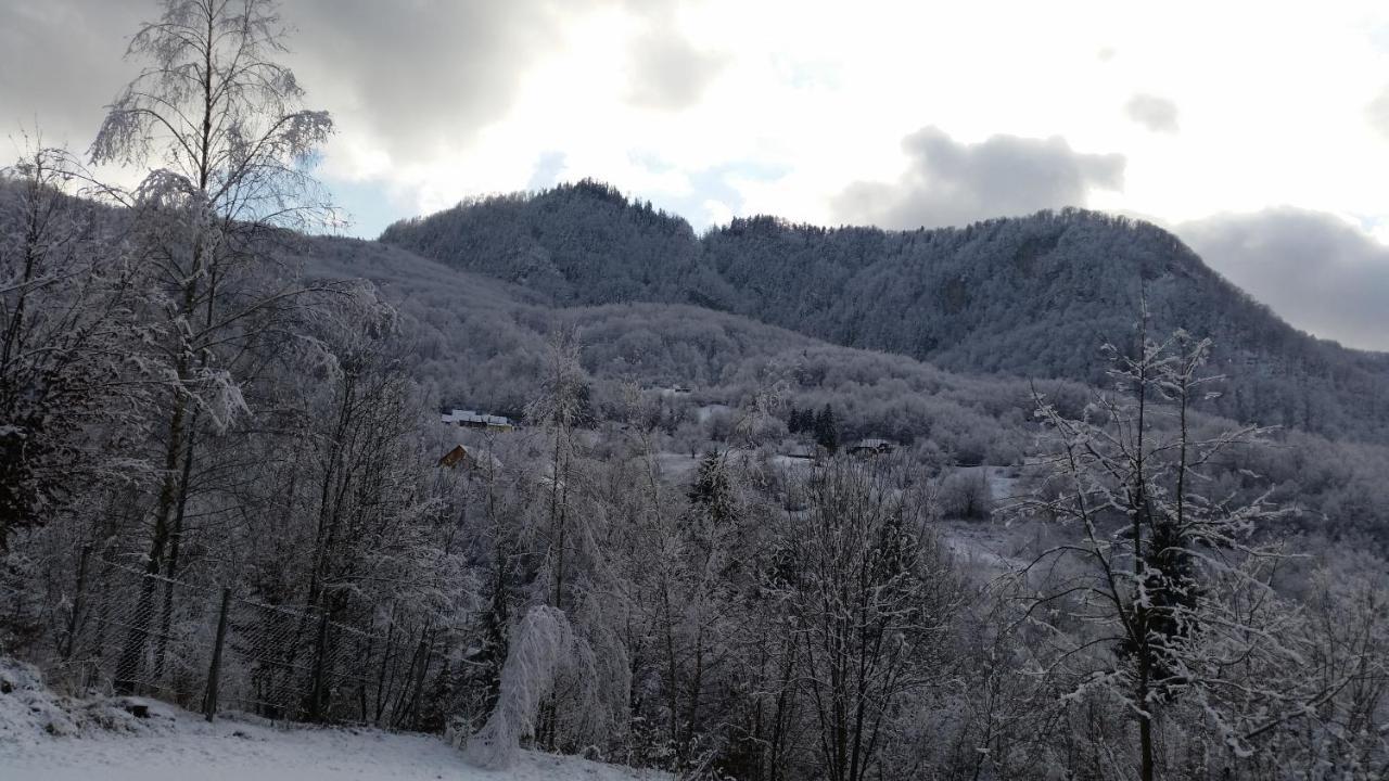Pensiunea Dolvas Padis Dış mekan fotoğraf